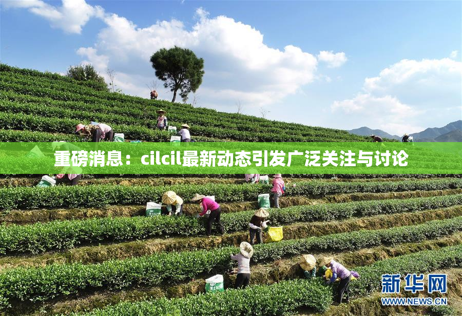 重磅消息：cilcil最新动态引发广泛关注与讨论