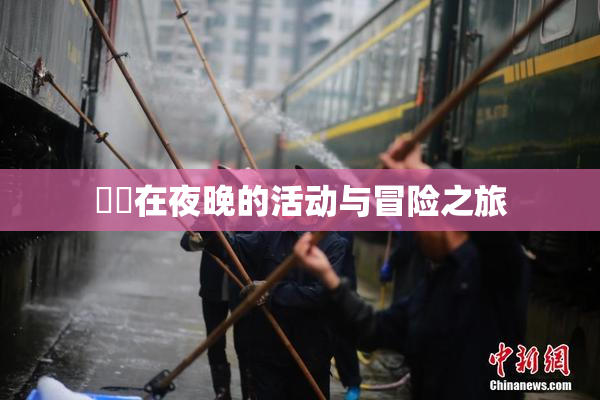 妺妺在夜晚的活动与冒险之旅