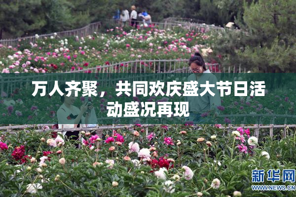 万人齐聚，共同欢庆盛大节日活动盛况再现