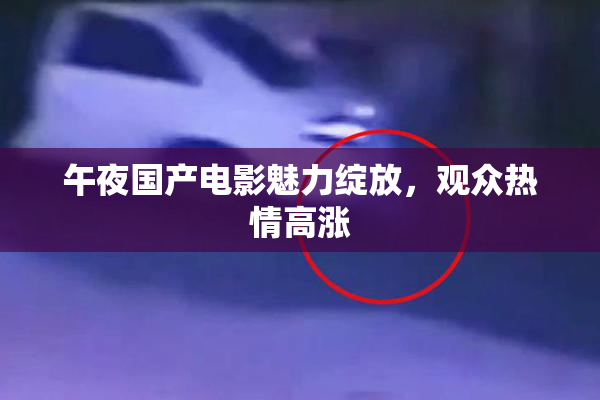午夜国产电影魅力绽放，观众热情高涨