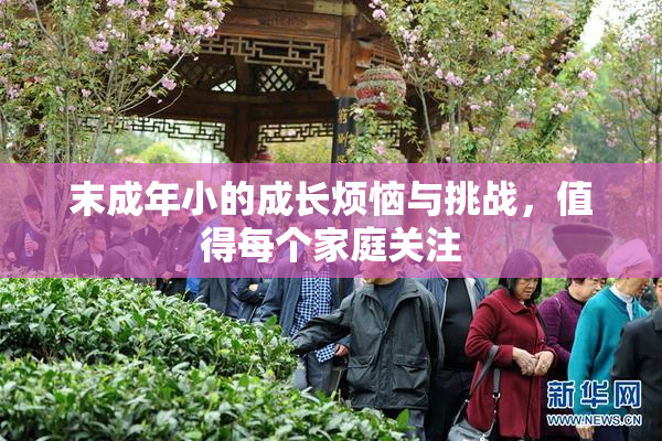 末成年小的成长烦恼与挑战，值得每个家庭关注
