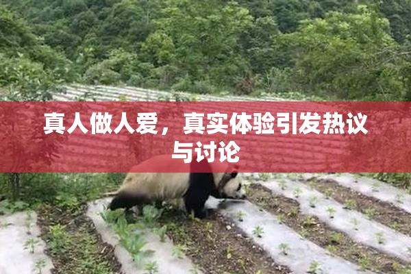 真人做人爱，真实体验引发热议与讨论