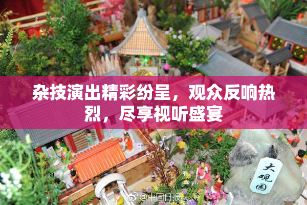 杂技演出精彩纷呈，观众反响热烈，尽享视听盛宴