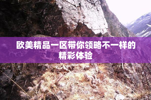欧美精品一区带你领略不一样的精彩体验