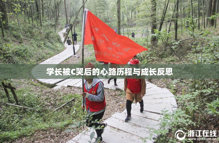 学长被C哭后的心路历程与成长反思