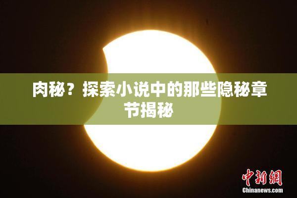 肉秘？探索小说中的那些隐秘章节揭秘