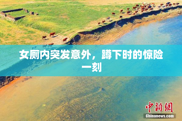 女厕内突发意外，蹲下时的惊险一刻