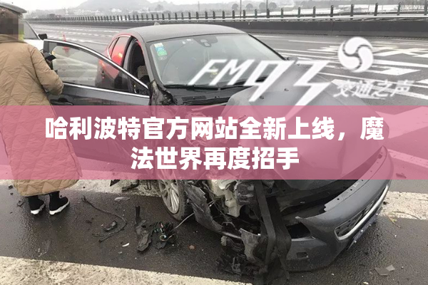 哈利波特官方网站全新上线，魔法世界再度招手