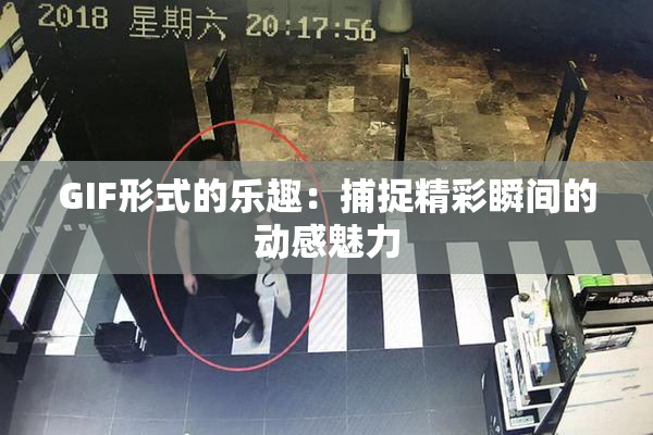 GIF形式的乐趣：捕捉精彩瞬间的动感魅力