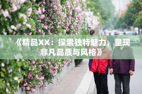《精品XX：探索独特魅力，呈现非凡品质与风格》