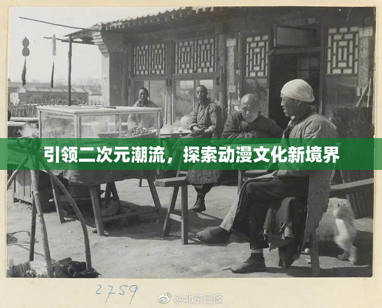 引领二次元潮流，探索动漫文化新境界