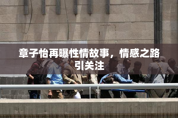 章子怡再曝性情故事，情感之路引关注
