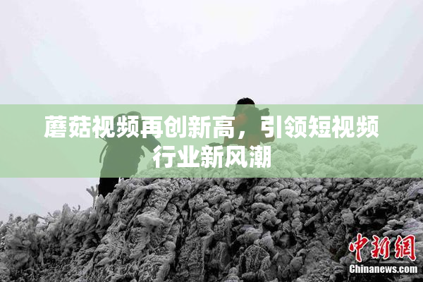 蘑菇视频再创新高，引领短视频行业新风潮