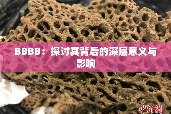 BBBB：探讨其背后的深层意义与影响