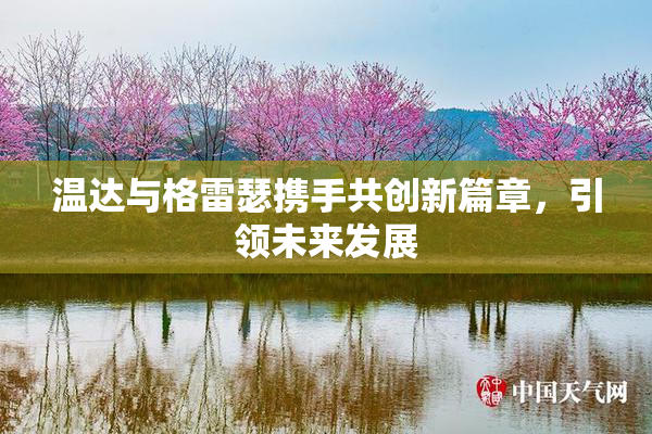 温达与格雷瑟携手共创新篇章，引领未来发展