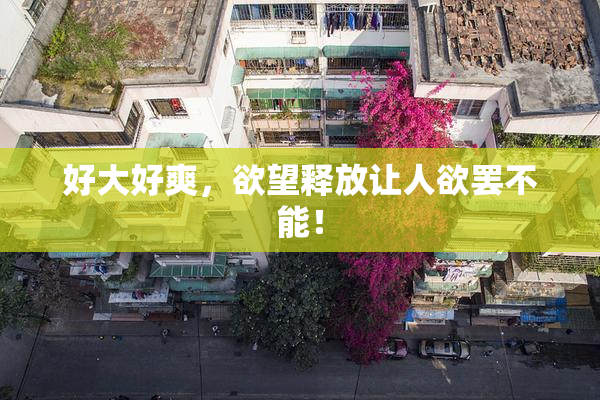 好大好爽，欲望释放让人欲罢不能！