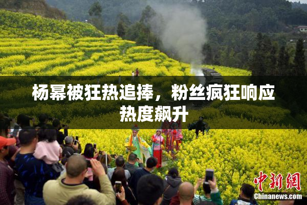 杨幂被狂热追捧，粉丝疯狂响应热度飙升