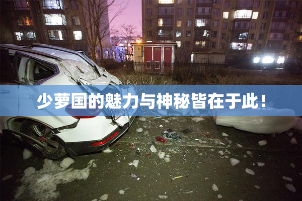 少萝国的魅力与神秘皆在于此！