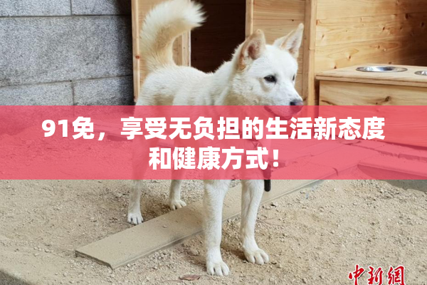 91免，享受无负担的生活新态度和健康方式！