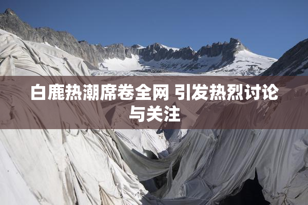 白鹿热潮席卷全网 引发热烈讨论与关注