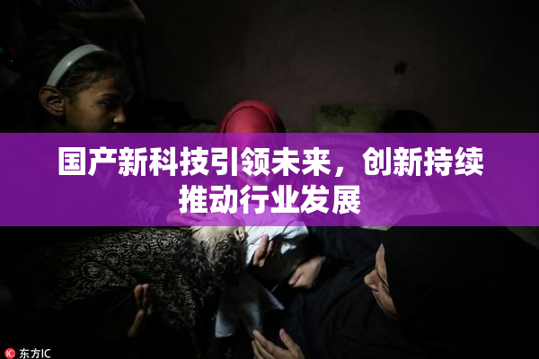 国产新科技引领未来，创新持续推动行业发展