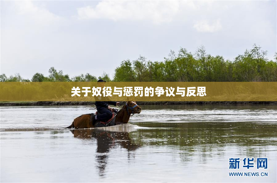 关于奴役与惩罚的争议与反思