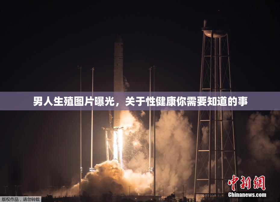 男人生殖图片曝光，关于性健康你需要知道的事