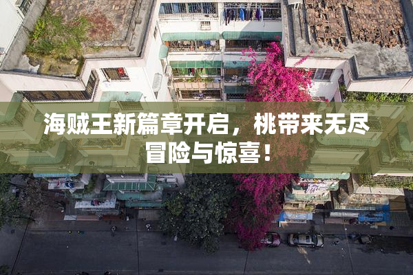 海贼王新篇章开启，桃带来无尽冒险与惊喜！