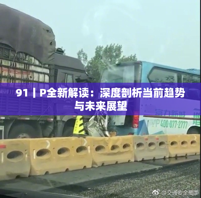 91丨P全新解读：深度剖析当前趋势与未来展望