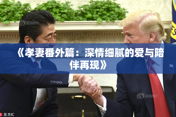 《孝妻番外篇：深情细腻的爱与陪伴再现》
