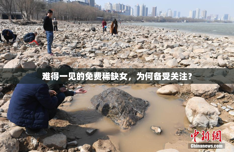 难得一见的免费稀缺女，为何备受关注？