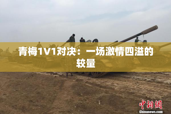 青梅1V1对决：一场激情四溢的较量