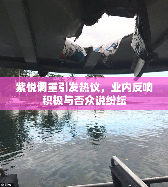 紫悦调重引发热议，业内反响积极与否众说纷纭