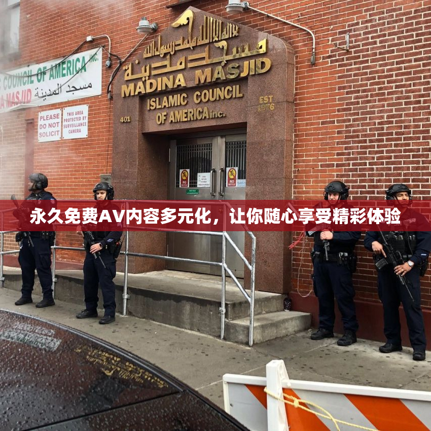 永久免费AV内容多元化，让你随心享受精彩体验