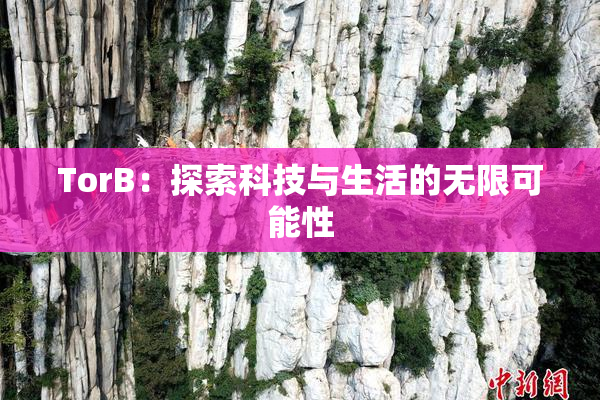 TorB：探索科技与生活的无限可能性