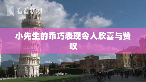 小先生的乖巧表现令人欣喜与赞叹