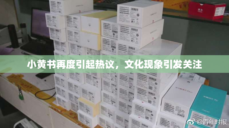 小黄书再度引起热议，文化现象引发关注