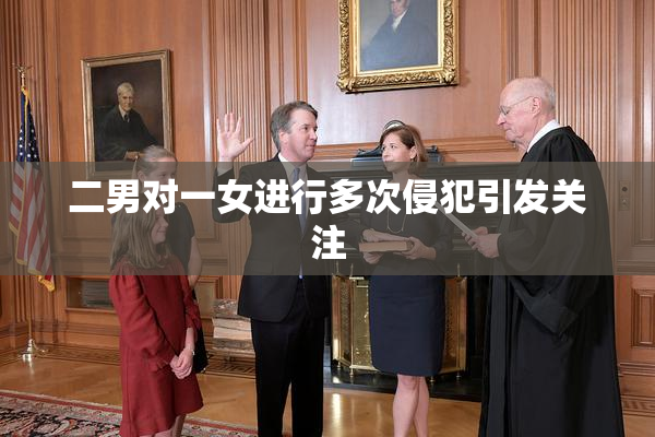 二男对一女进行多次侵犯引发关注