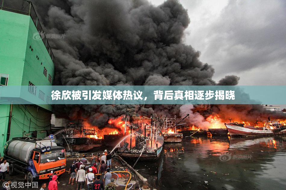 徐欣被引发媒体热议，背后真相逐步揭晓