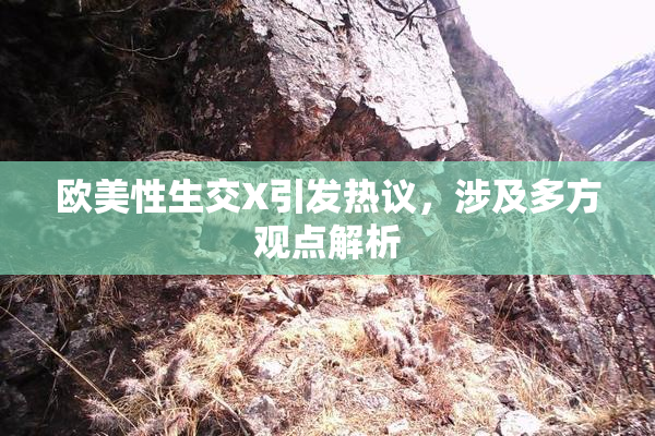 欧美性生交X引发热议，涉及多方观点解析