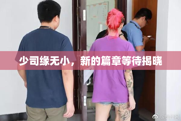 少司缘无小，新的篇章等待揭晓