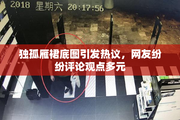 独孤雁裙底图引发热议，网友纷纷评论观点多元