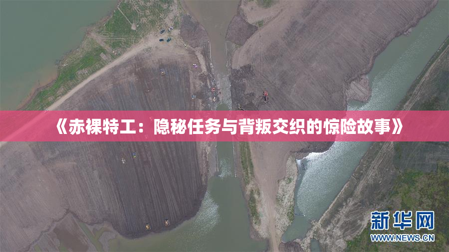 《赤裸特工：隐秘任务与背叛交织的惊险故事》
