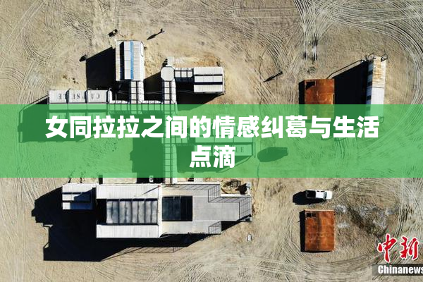 女同拉拉之间的情感纠葛与生活点滴
