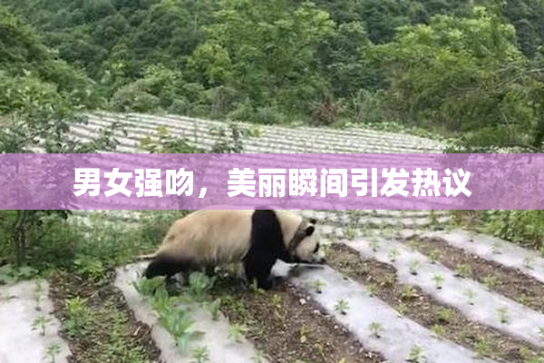 男女强吻，美丽瞬间引发热议