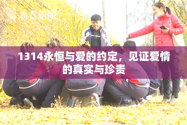 1314永恒与爱的约定，见证爱情的真实与珍贵