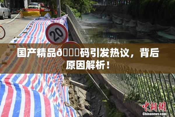 国产精品🈚码引发热议，背后原因解析！