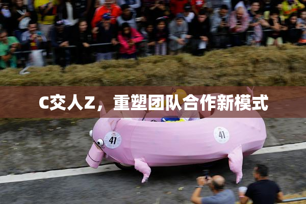 C交人Z，重塑团队合作新模式