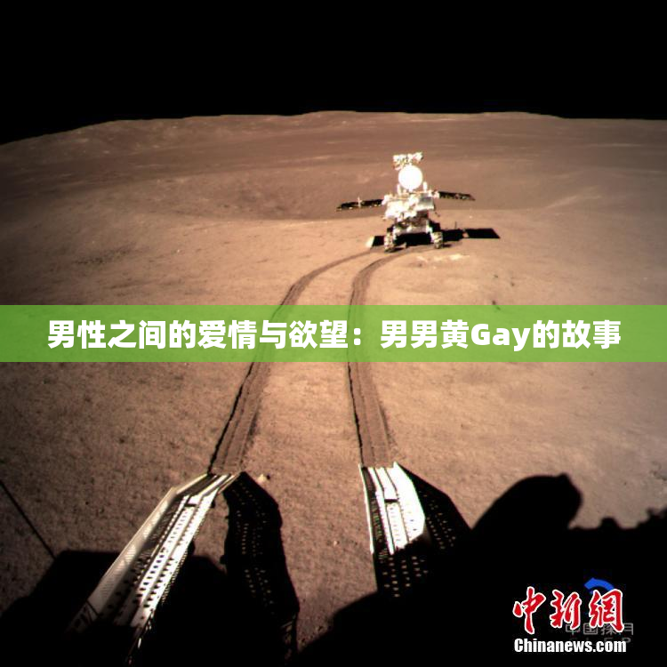 男性之间的爱情与欲望：男男黄Gay的故事