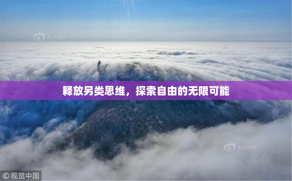 释放另类思维，探索自由的无限可能